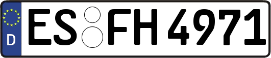 ES-FH4971