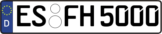 ES-FH5000