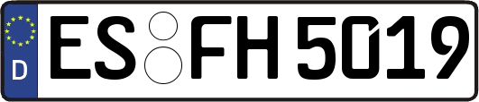 ES-FH5019
