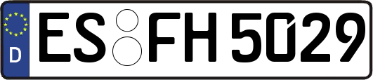 ES-FH5029