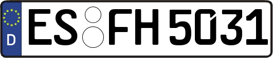 ES-FH5031