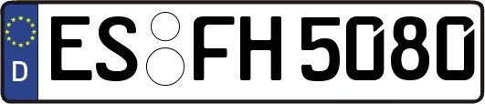 ES-FH5080