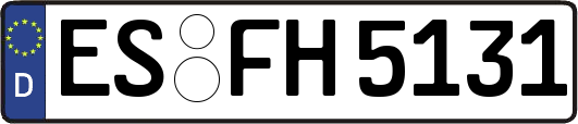 ES-FH5131