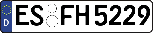 ES-FH5229