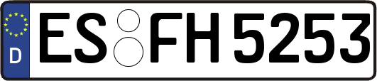 ES-FH5253