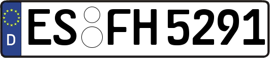 ES-FH5291