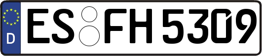 ES-FH5309