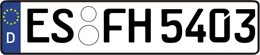 ES-FH5403