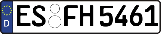 ES-FH5461