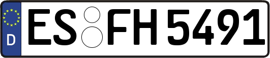 ES-FH5491