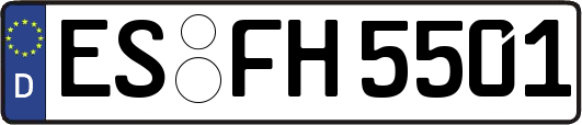 ES-FH5501