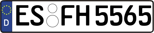 ES-FH5565