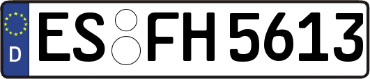 ES-FH5613