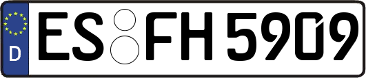 ES-FH5909