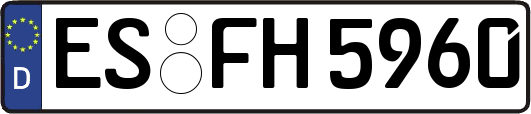 ES-FH5960