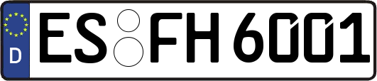 ES-FH6001