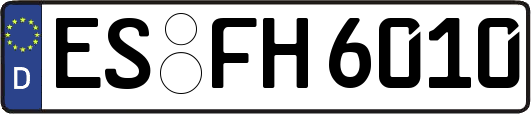 ES-FH6010