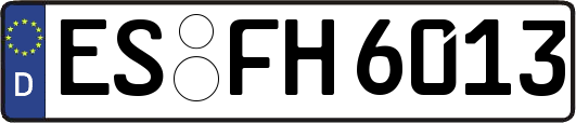 ES-FH6013