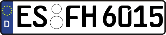 ES-FH6015