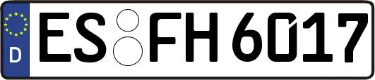 ES-FH6017