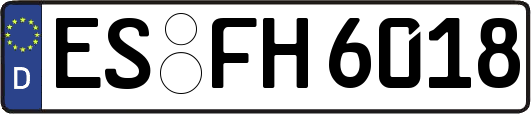 ES-FH6018