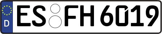 ES-FH6019