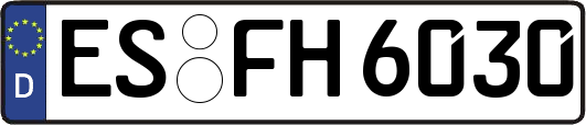 ES-FH6030
