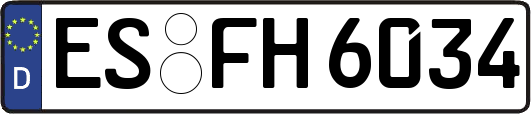 ES-FH6034