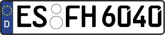ES-FH6040
