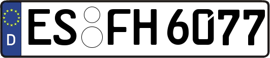 ES-FH6077