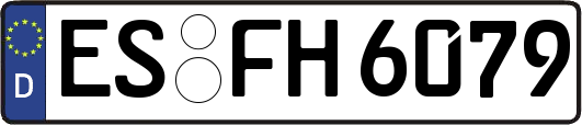 ES-FH6079