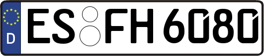 ES-FH6080