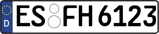 ES-FH6123