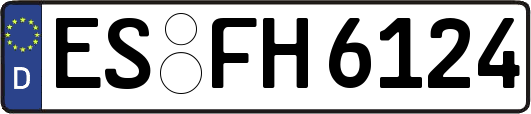 ES-FH6124