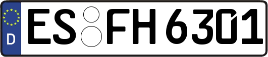 ES-FH6301