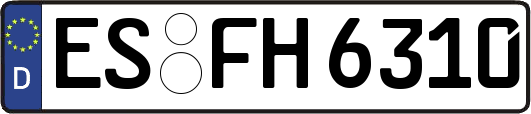 ES-FH6310