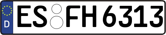 ES-FH6313
