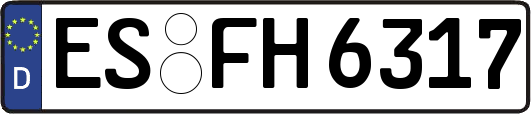 ES-FH6317