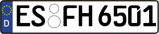 ES-FH6501