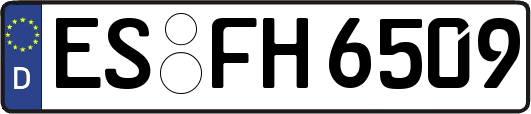 ES-FH6509