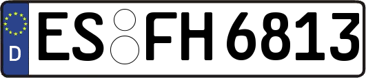 ES-FH6813