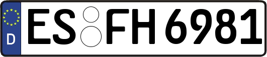 ES-FH6981