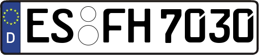 ES-FH7030