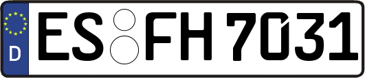 ES-FH7031