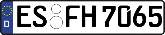 ES-FH7065
