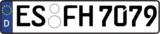 ES-FH7079