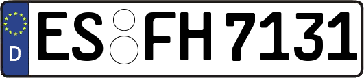 ES-FH7131
