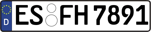 ES-FH7891