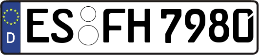 ES-FH7980