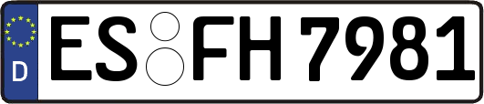 ES-FH7981